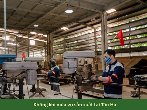 Không khí mùa vụ sản xuất tại Tân Hà – Sẵn sàng cho mùa khai trường 2026