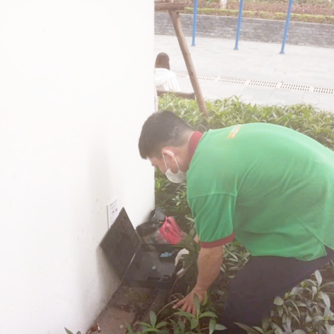 ​​​​​​​Lựa Chọn Dịch Vụ Kiểm Soát Chuột Chuyên Nghiệp: Khi Nào Bạn Cần Đến Chúng Tôi?