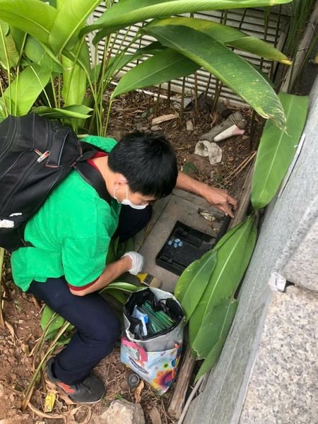 dịch vụ kiểm soát chuột chuyên nghiệp