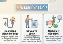 Điện cảm ứng là gì? Tại sao sờ vào vỏ thiết bị lại bị tê và cách xử lý dứt điểm
