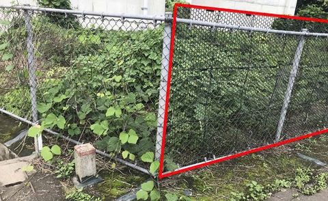 Giải pháp ngăn dây leo hàng rào bằng lưới Ivy Guard Karama Net BM – Công nghệ Nhật Bản