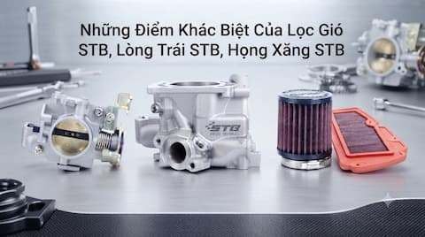 Những Điểm Khác Biệt Của Lọc Gió STB, Lòng Trái STB, Họng Xăng STB Và Phụ Tùng Trên Thị Trường