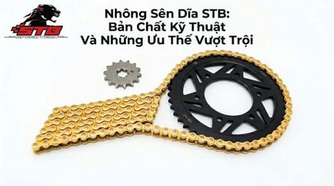 Nhông Sên Dĩa STB: Bản Chất Kỹ Thuật Và Những Ưu Thế Vượt Trội