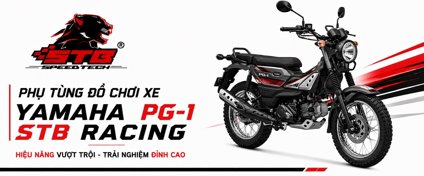 PG-1