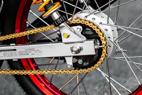 sên vàng stb - điểm nhấn thời trang