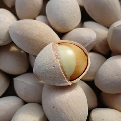 Bạch quả là gì? Tại sao bạch quả lại là 