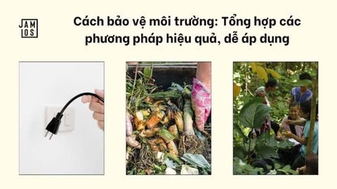 Cách bảo vệ môi trường: Tổng hợp các phương pháp hiệu quả, dễ áp dụng