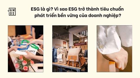 ESG là gì? Vì sao ESG trở thành tiêu chuẩn phát triển bền vững của doanh nghiệp?