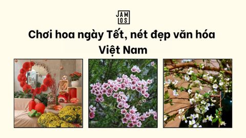 Chơi hoa ngày Tết, nét đẹp văn hóa Việt Nam