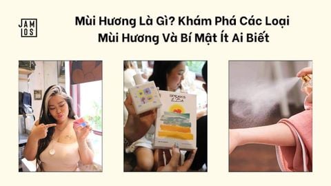 Mùi Hương Là Gì? Khám Phá Các Loại Mùi Hương Và Bí Mật Ít Ai Biết