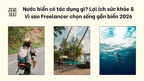 Nước biển có tác dụng gì? Lợi ích sức khỏe & Vì sao Freelancer chọn sống gần biển 2026