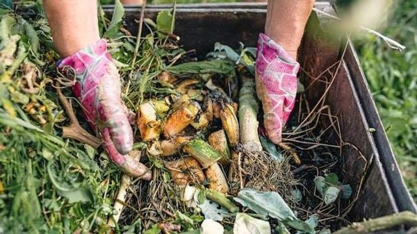 biện pháp bảo vệ môi trường