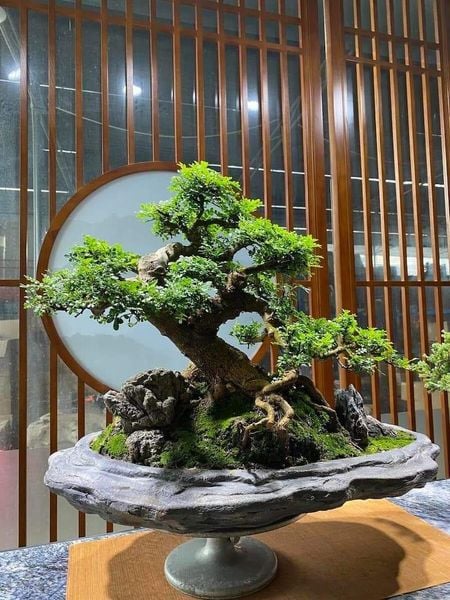 tặng quà sinh nhật cho sếp nam