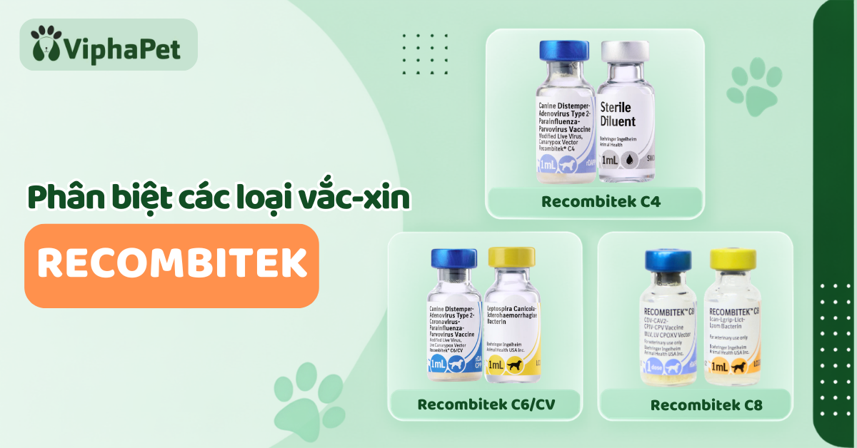 Recombitek® C4, Recombitek C6/CV, Recombitek C8 khác nhau như thế nào?