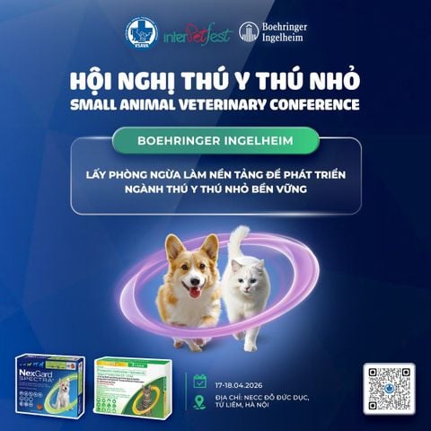 OLMIX ASIALAND VÀ BOEHRINGER INGELHEIM ĐỒNG HÀNH CÙNG HỘI NGHỊ THÚ Y THÚ NHỎ 2026 – NÂNG TẦM CHUYÊN MÔN NGÀNH THÚ CƯNG