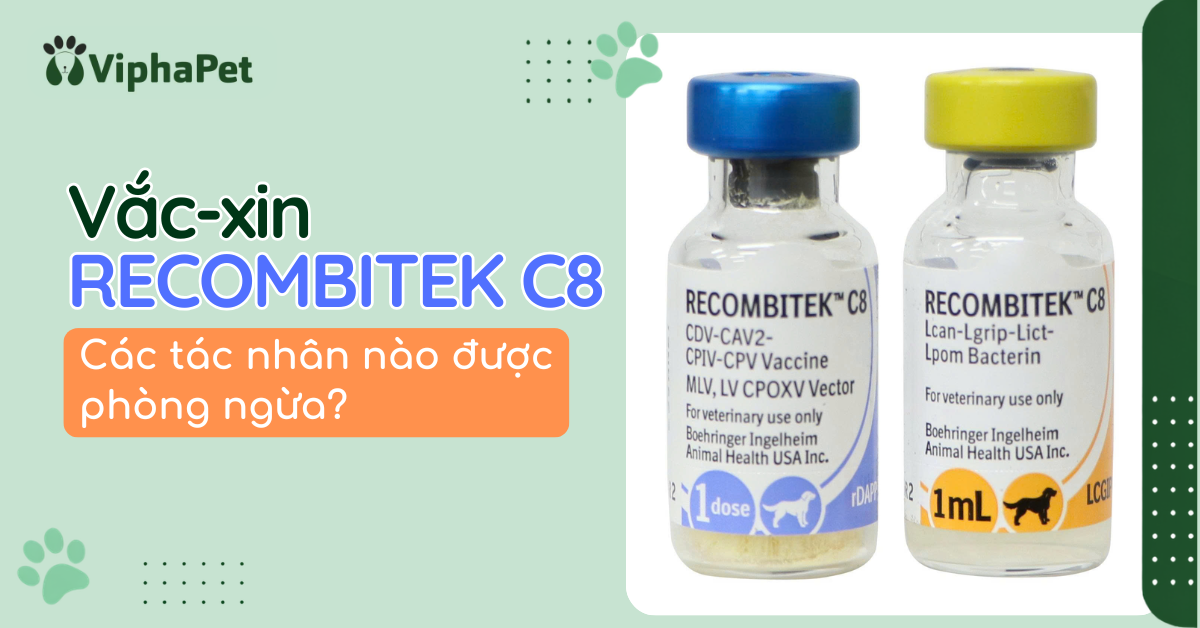 Vắc-xin Recombitek C8 là gì?
