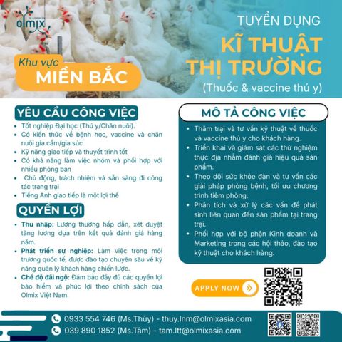 TUYỂN DỤNG KỸ THUẬT THỊ TRƯỜNG - KHU VỰC MIỀN BẮC