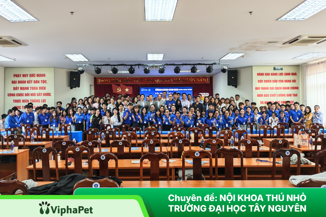 OLMIX & BOEHRINGER ĐỒNG HÀNH CÙNG VSAVA CHUYÊN ĐỀ NỘI KHOA THÚ NHỎ TÂY NGUYÊN 2026