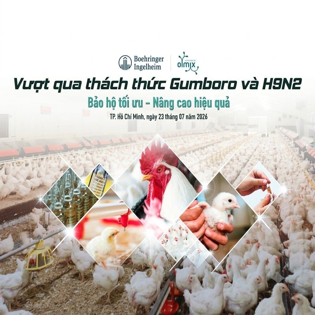 Hội thảo "Vượt qua thách thức Gumboro và H9N2" – Bảo hộ tối ưu, nâng cao hiệu quả chăn nuôi gia cầm