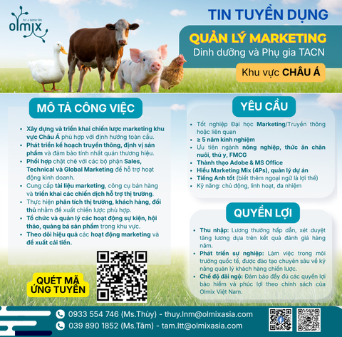 THÔNG TIN TUYỂN DỤNG QUẢN LÝ MARKETING KHU VỰC CHÂU Á
