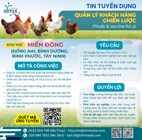 THÔNG TIN TUYỂN DỤNG QUẢN LÝ KHÁCH HÀNG CHIẾN LƯỢC KHU VỰC MIỀN ĐÔNG