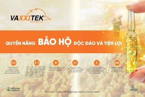 VAXXITEK® HVT+IBD+ILT GIẢI PHÁP PHÒNG BỆNH TAM GIÁ TIÊN TIẾN CHO CHĂN NUÔI GIA CẦM