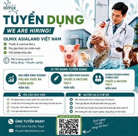 CƠ HỘI VIỆC LÀM