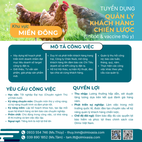 THÔNG TIN TUYỂN DỤNG QUẢN LÝ KHÁCH HÀNG CHIẾN LƯỢC – KHU VỰC MIỀN ĐÔNG
