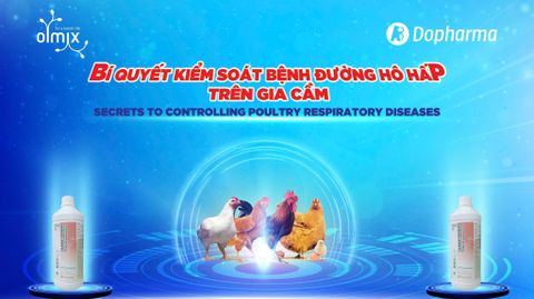 Olmix Asialand & Dopharma – Giải pháp toàn diện kiểm soát bệnh hô hấp trên gia cầm, hướng đến chăn nuôi an toàn và bền vững