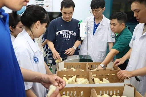 Sinh viên thực hành tiêm Vaccine