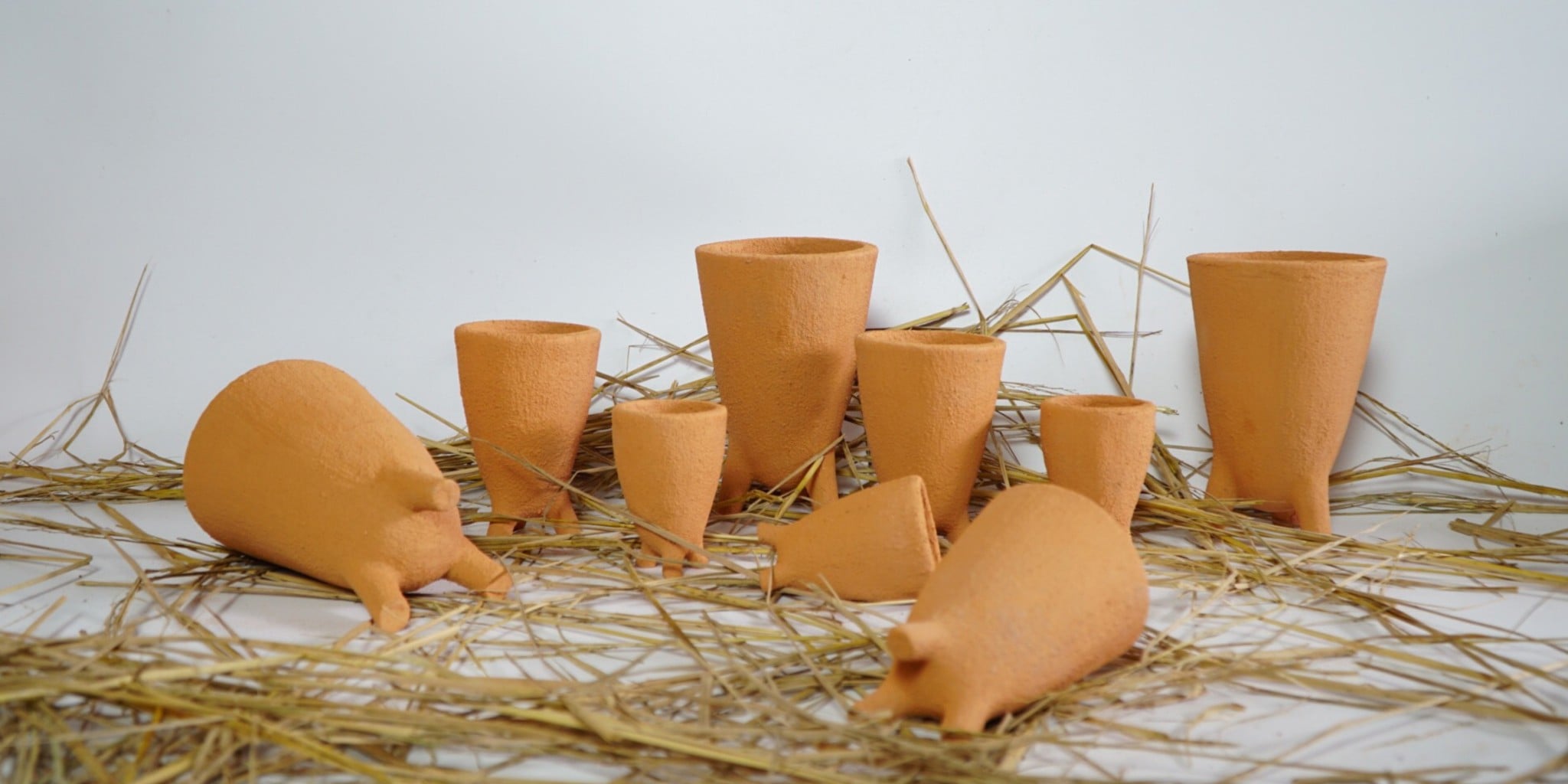 Chậu Trồng Cây - Planter/ Pot