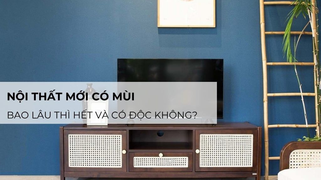 Nội thất mới có mùi: Bao lâu thì hết và có độc không?