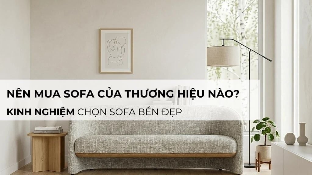 Nên mua sofa của thương hiệu nào? Kinh nghiệm chọn sofa bền đẹp