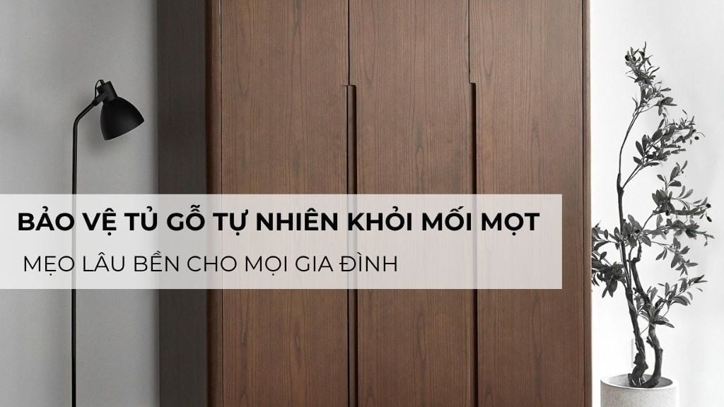 Bảo vệ tủ gỗ tự nhiên khỏi mối mọt – Mẹo lâu bền cho mọi gia đình