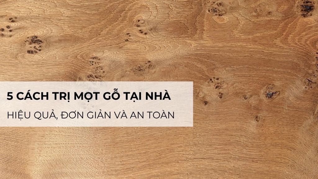 5 cách trị mọt gỗ tại nhà hiệu quả, đơn giản và an toàn
