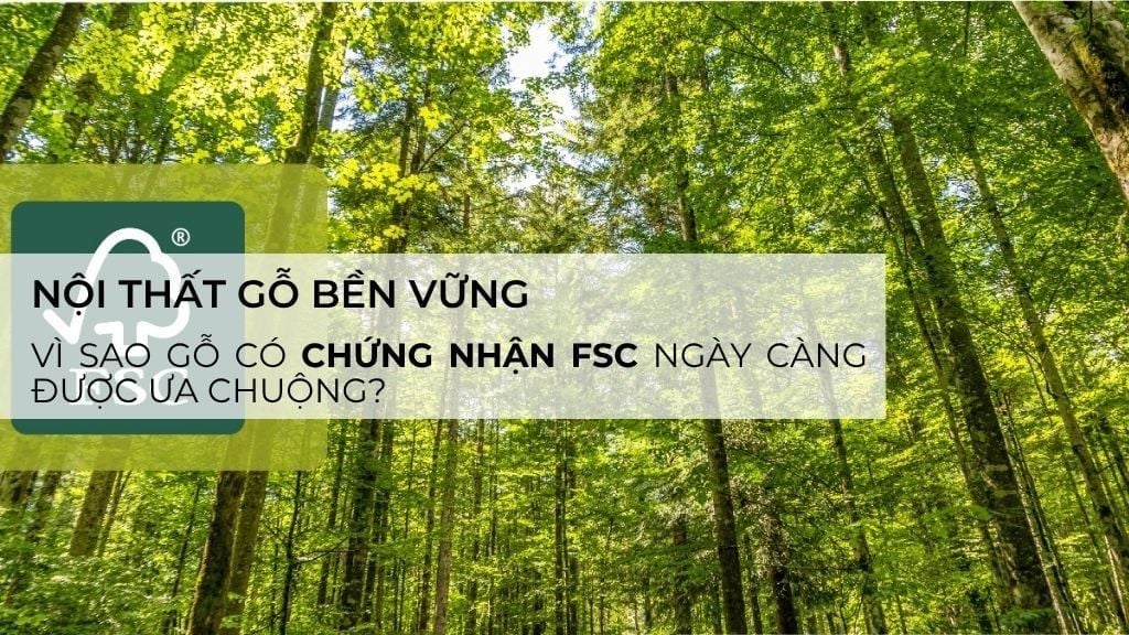 Nội thất gỗ bền vững: Vì sao gỗ có chứng nhận FSC ngày càng được ưa chuộng?