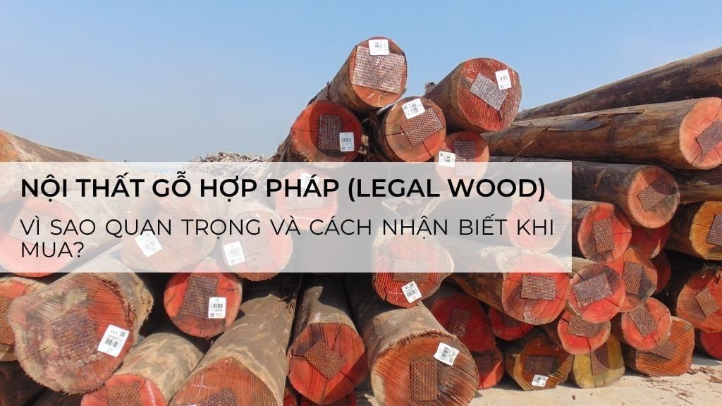 Nội thất gỗ hợp pháp (Legal Wood): Vì sao quan trọng và cách nhận biết khi mua?