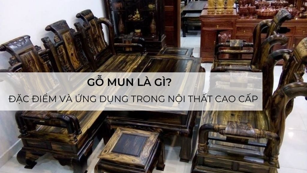 Gỗ mun là gì? Đặc điểm và ứng dụng trong nội thất cao cấp
