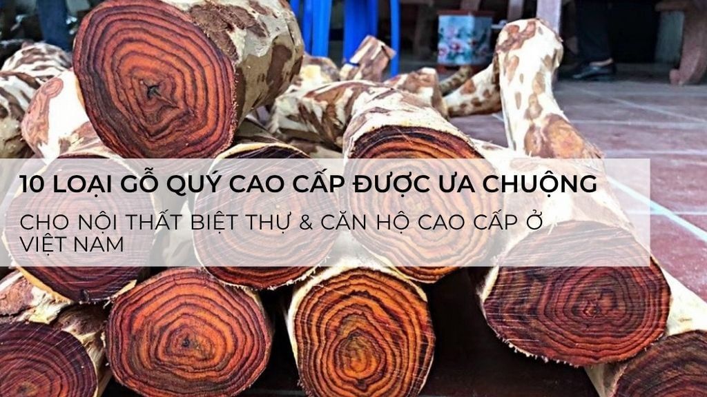 10 loại gỗ quý cao cấp được ưa chuộng cho nội thất biệt thự & căn hộ cao cấp ở Việt Nam