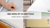 Nệm Bông Ép Và Nệm Foam: Khác Nhau Thế Nào?