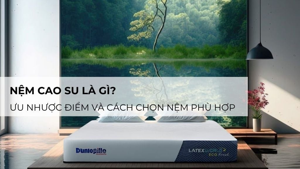 Nệm Cao Su Là Gì? Ưu Nhược Điểm Và Cách Chọn Nệm Phù Hợp