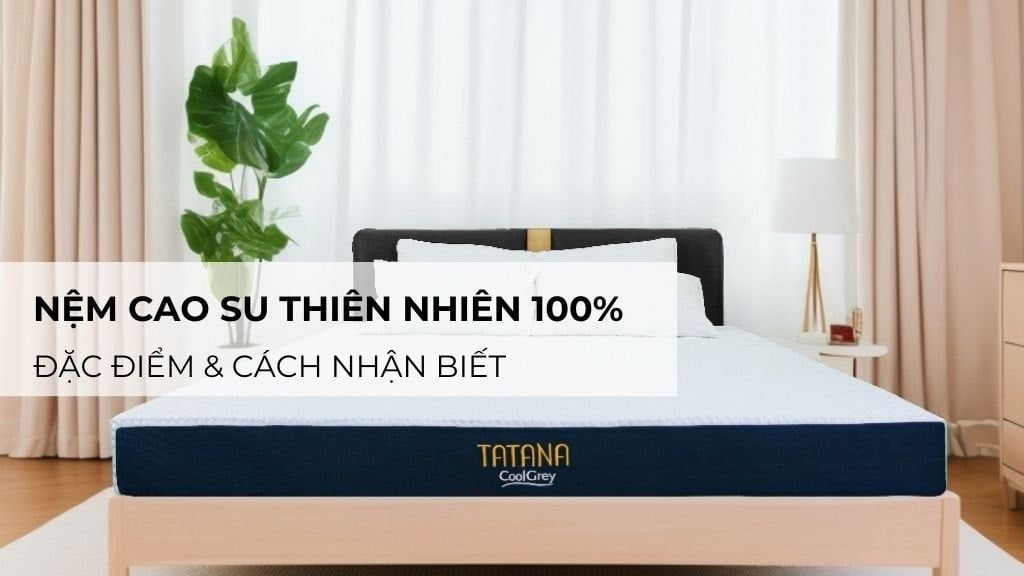 Nệm Cao Su Thiên Nhiên 100%: Đặc Điểm & Cách Nhận Biết