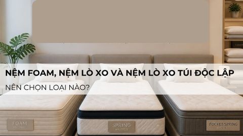 Nệm Foam, nệm Lò xo và nệm Lò xo túi độc lập: nên chọn loại nào?