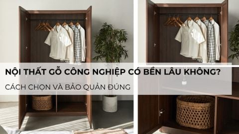 Nội thất gỗ công nghiệp có bền lâu không? Cách chọn và bảo quản đúng