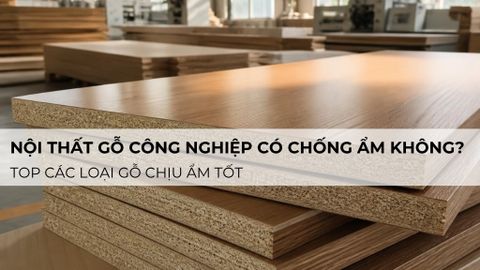 Nội thất gỗ công nghiệp có chống ẩm không? Top các loại gỗ chịu ẩm tốt