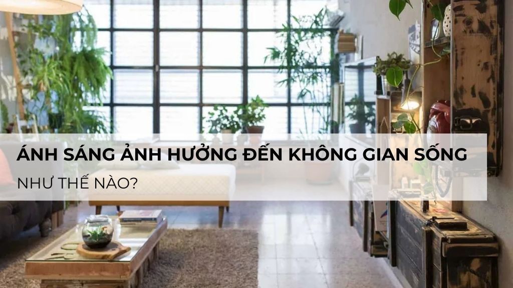 Ánh Sáng Ảnh Hưởng Như Thế Nào Đến Không Gian Sống? Những Điều Quan Trọng Cần Biết