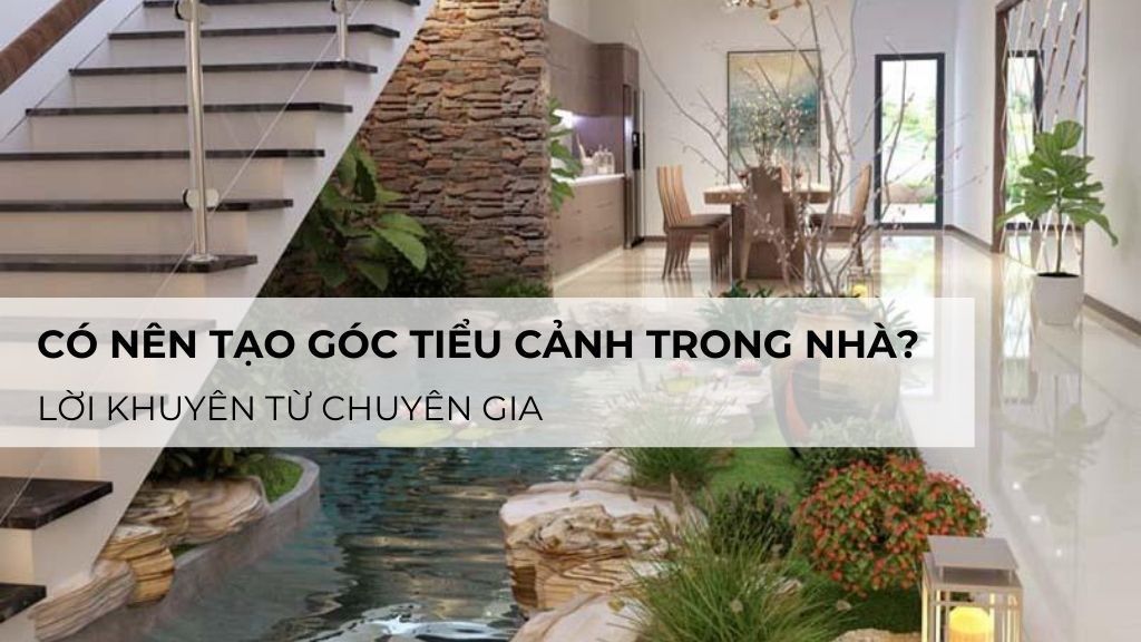 Có Nên Tạo Góc Tiểu Cảnh Trong Nhà? Lời Khuyên Từ Chuyên Gia
