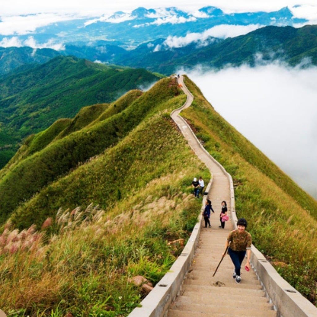 Hình ảnh bài viết