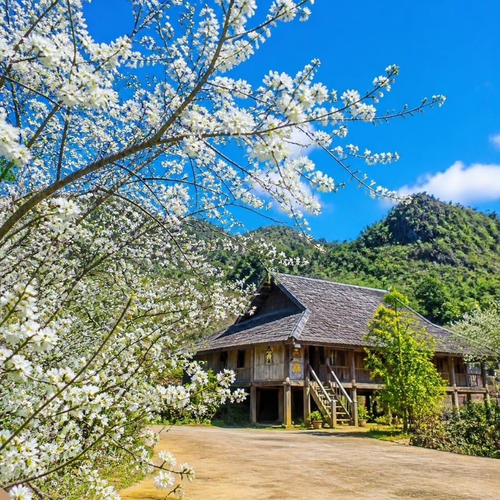 Hình ảnh bài viết