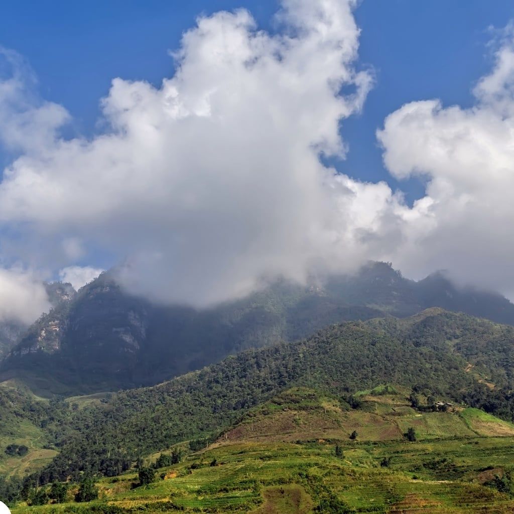 Hình ảnh bài viết